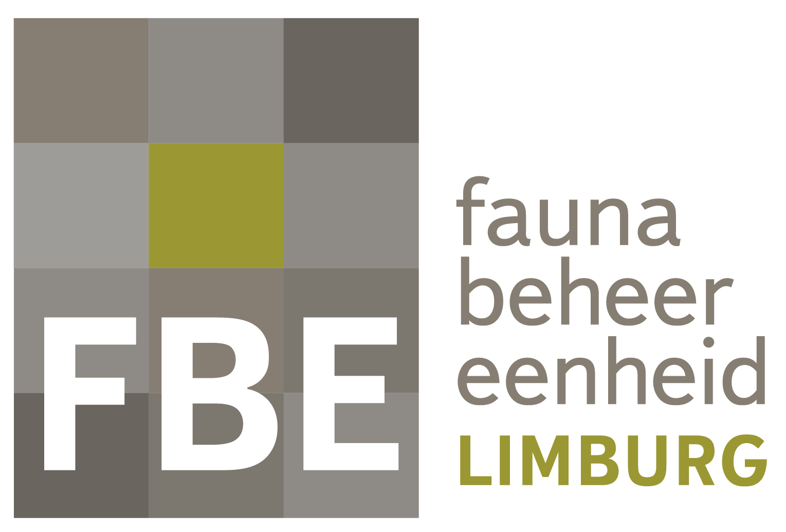fbe limburg logo